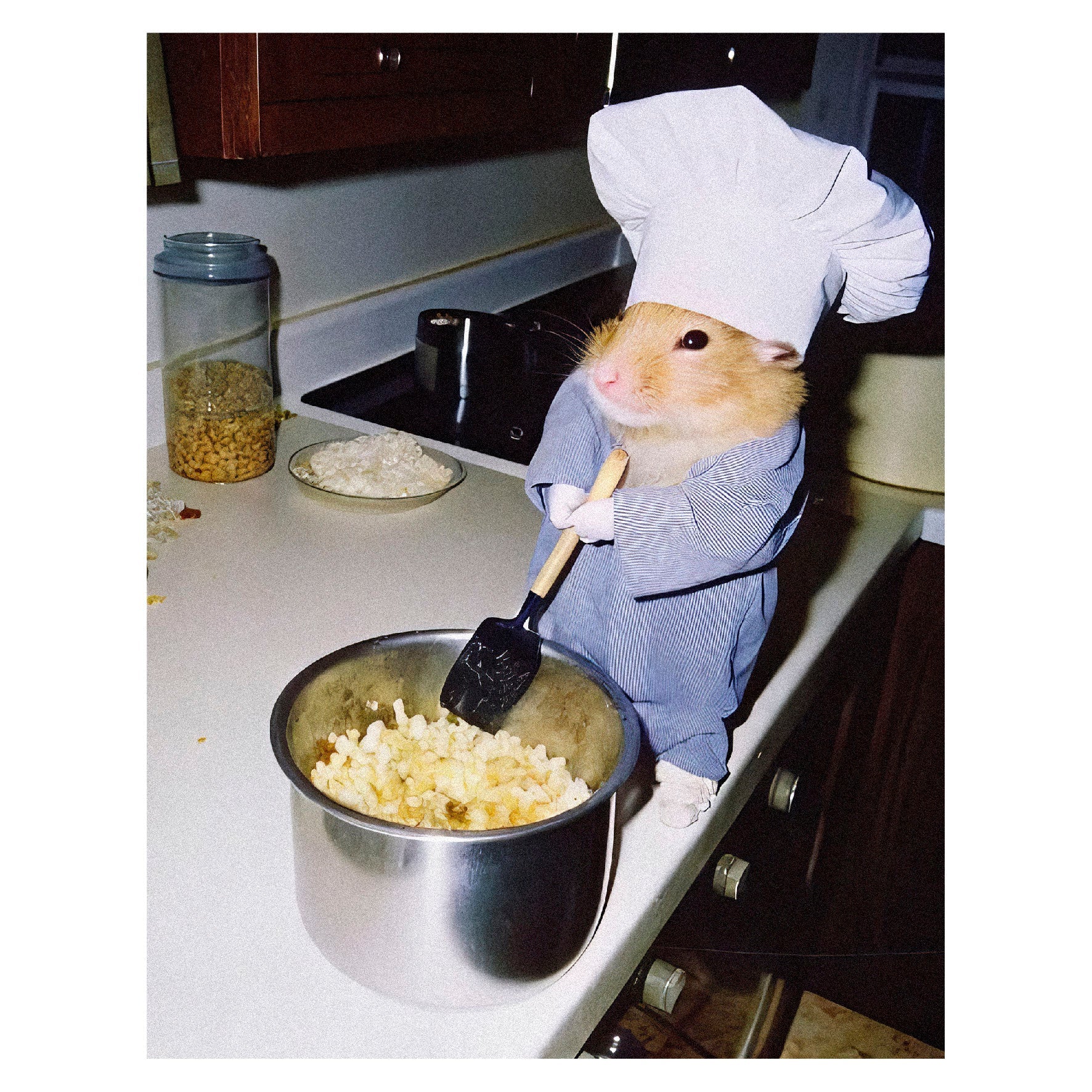 Decorative "Coquette Collection: Chef Mouse" Poster | High - Quality Print | Repositionable Adhesive - Pasquín