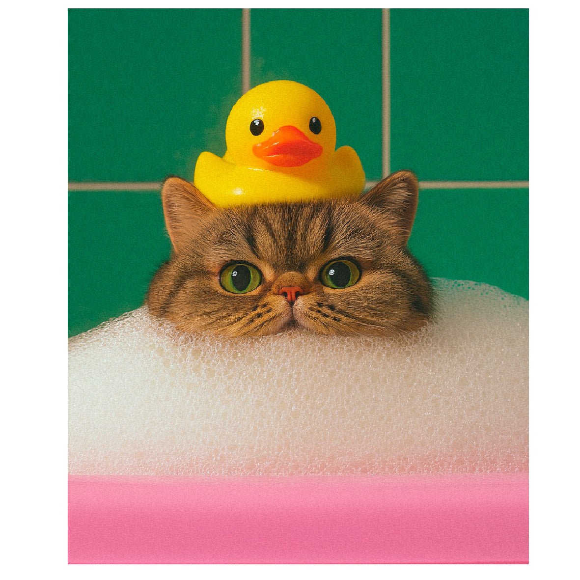 Decorative "Coquette Collection: Rubber Duck" Poster | High - Quality Print | Repositionable Adhesive - Pasquín