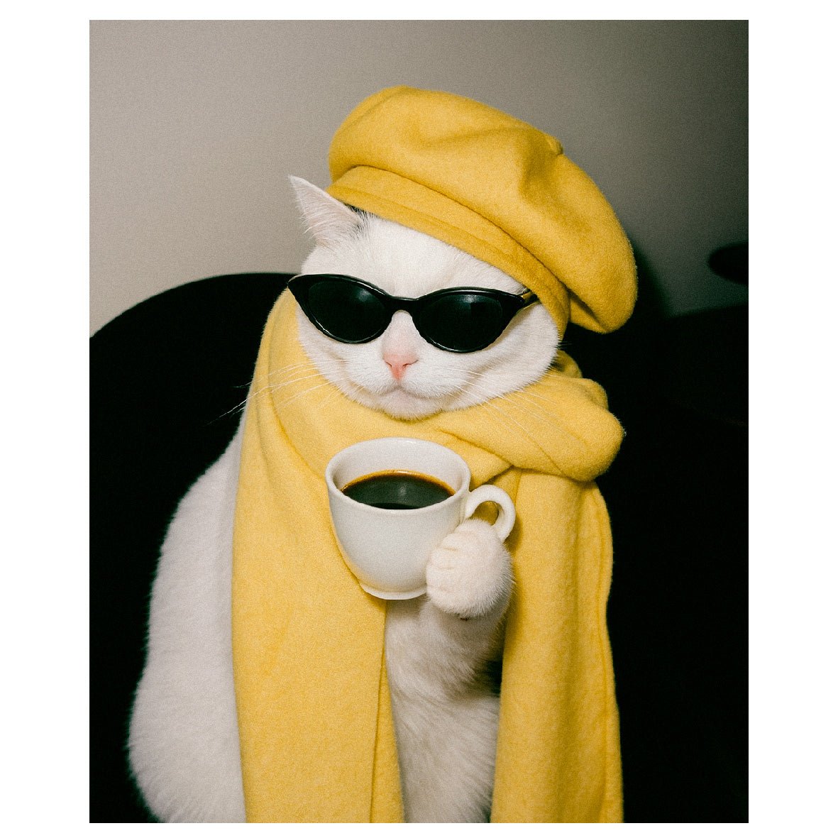 Decorative "Coquette Collection: The French Touch" Poster | High - Quality Print | Repositionable Adhesive - Pasquín