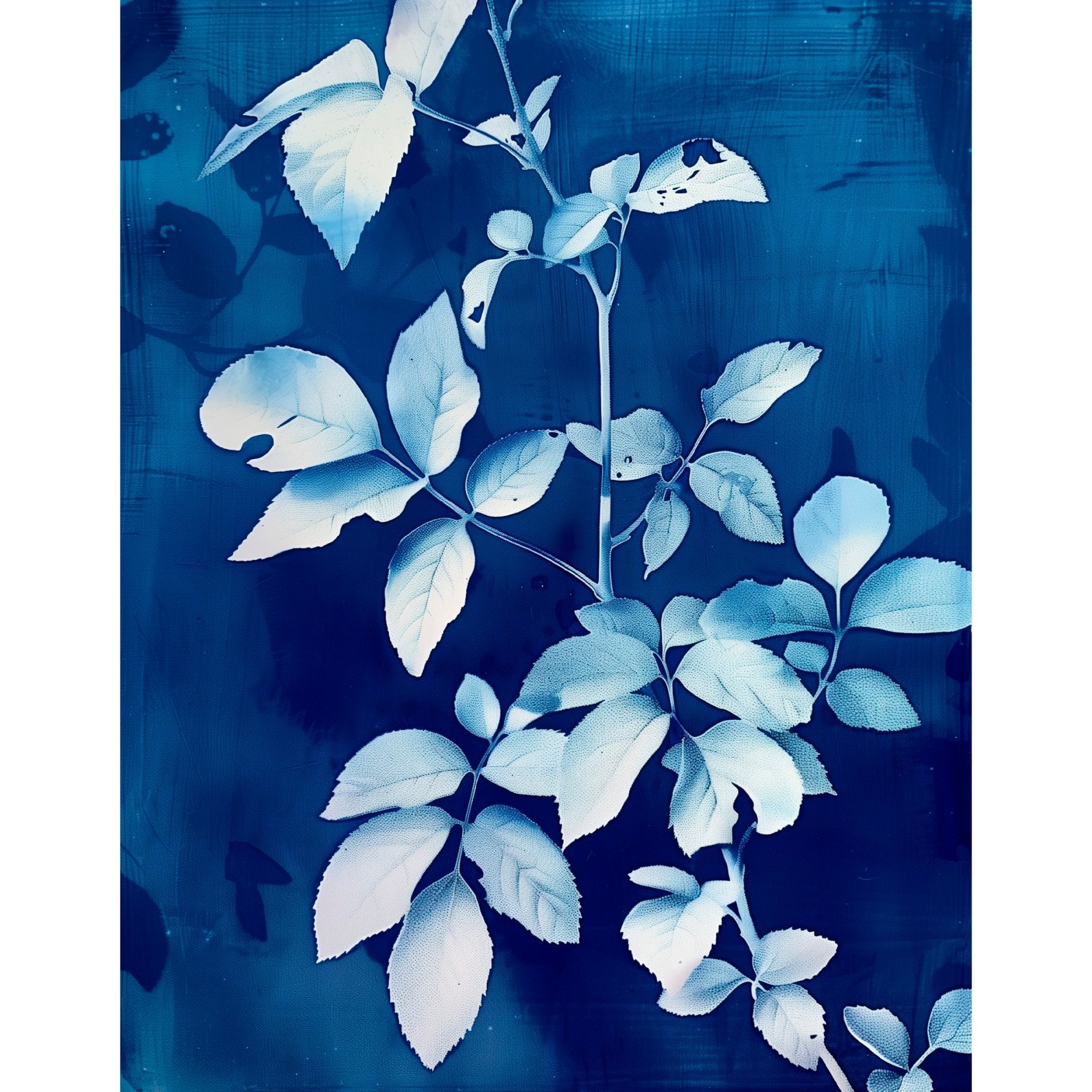 Decorative "Floral Radiograph in Blue" Poster | High - Quality Print | Repositionable Adhesive - Pasquín