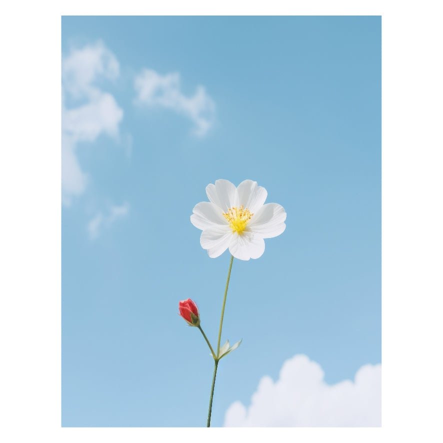 Decorative "Flower and Sky View" Poster | High - Quality Print | Repositionable Adhesive - Pasquín