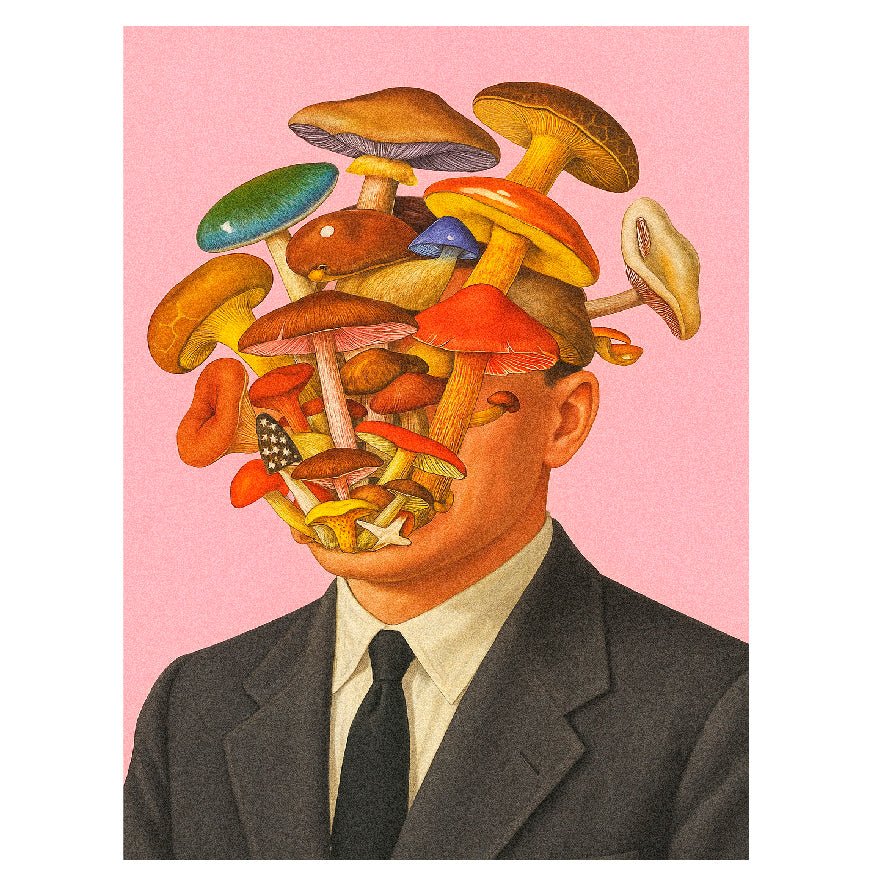 Decorative "Mr. and Mrs. Fungi" Poster | High - Quality Print | Repositionable Adhesive - Pasquín