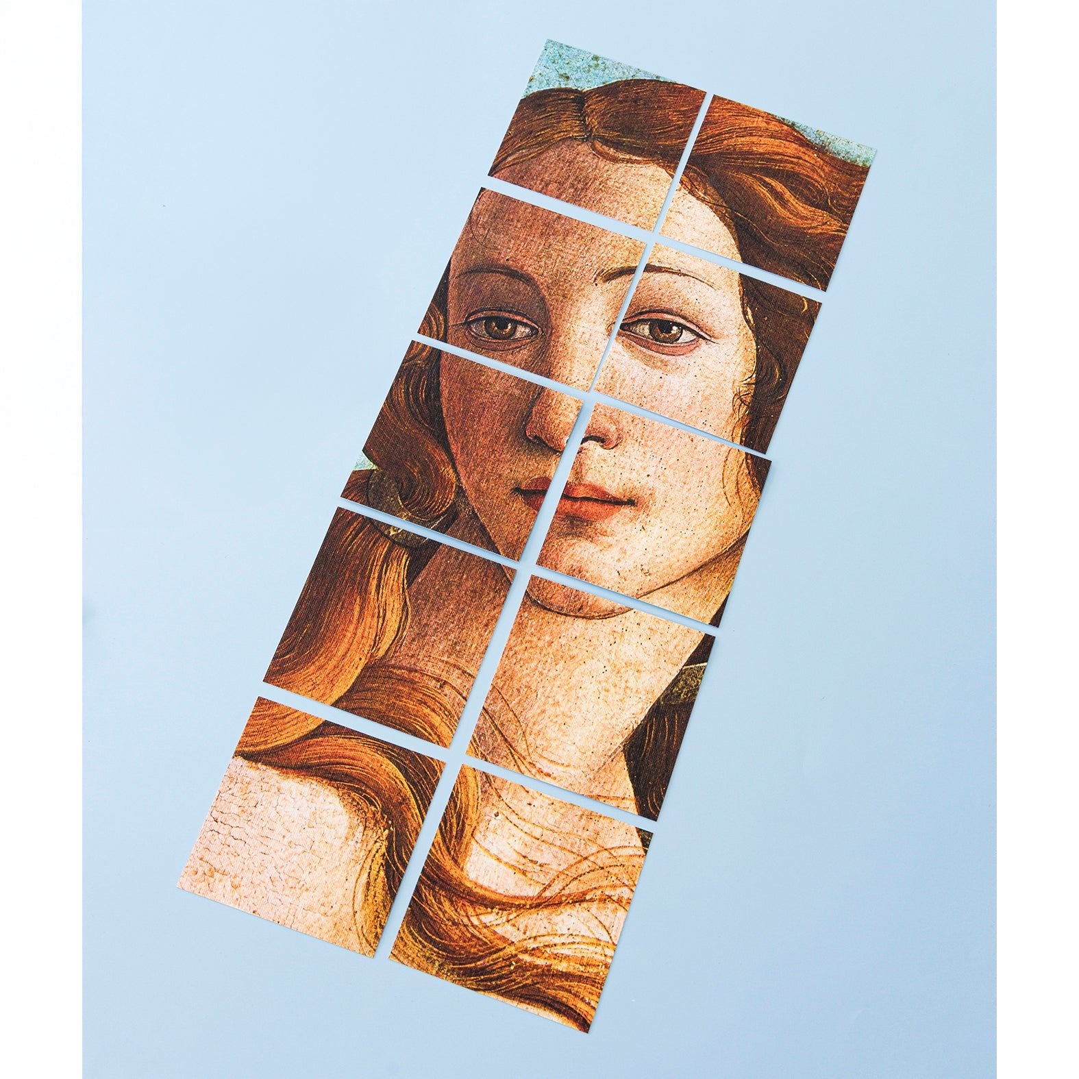 Decorative Removable Wall Tiles - Venus Design - Pasquín