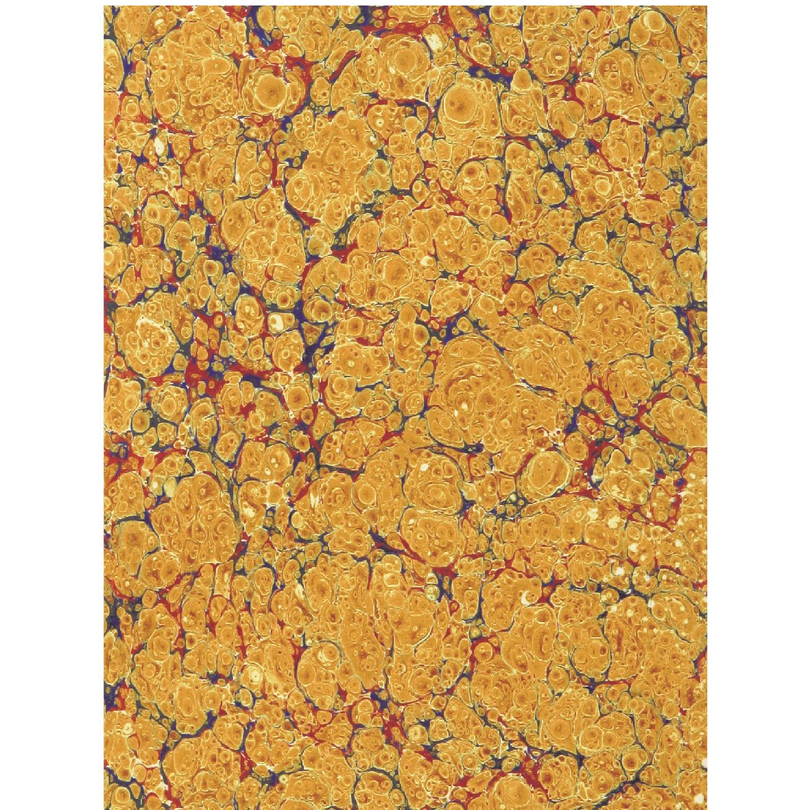 Decorative "Decorative Paper from The Bridal of Caölchairn" Poster | High - Quality Print | Repositionable Adhesive - Pasquín